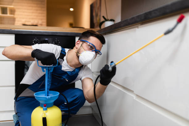 Best Wasp Removal Services  in Buchanan, MI