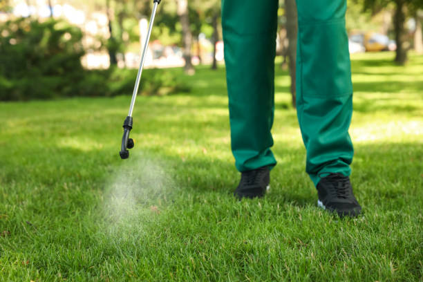 Best Best Pest Control Companies  in Buchanan, MI