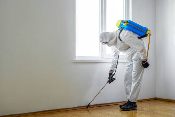 Best Local Pest Control Services  in Buchanan, MI