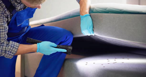 Best Termite Control Services  in Buchanan, MI