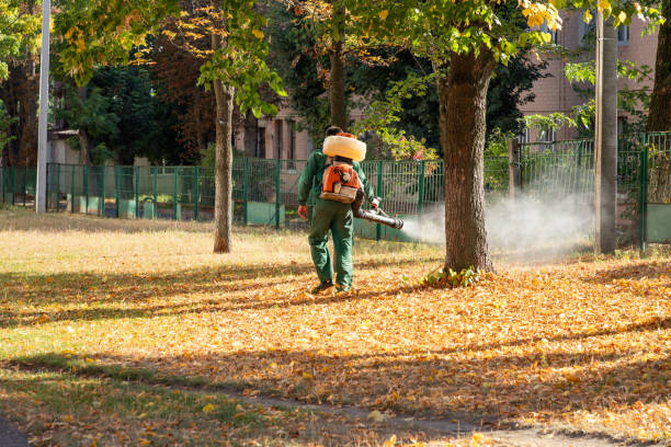 Best Commercial Pest Control Services  in Buchanan, MI