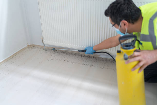 Best Flea Control Services  in Buchanan, MI