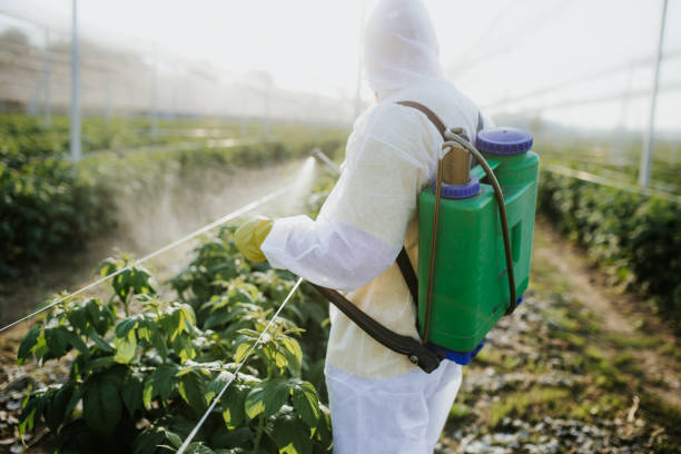 Best Residential Pest Control  in Buchanan, MI